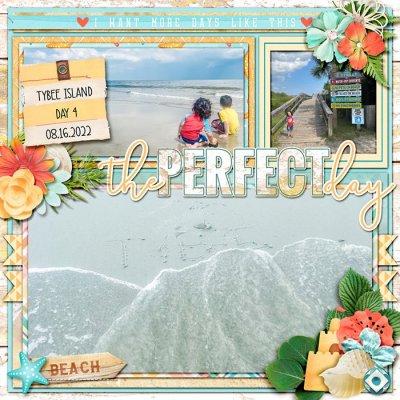 The Perfect Day