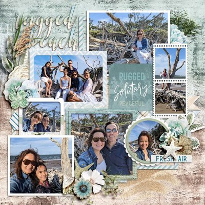 Rugged Beach