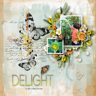 Delight