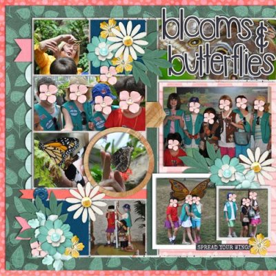 Blooms and Butterflies