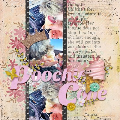 0217-poochie-cone-copy.jpg