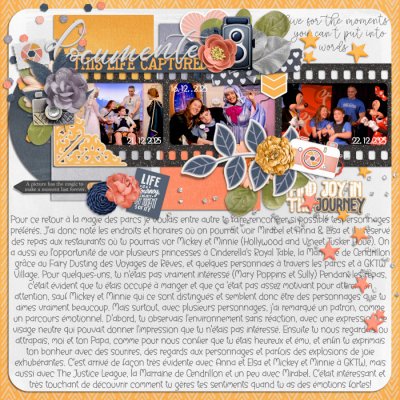 Emotional Journey