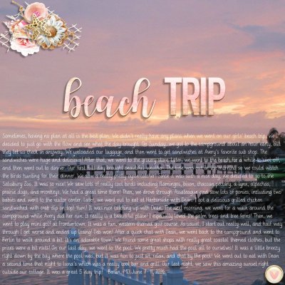 beach trip