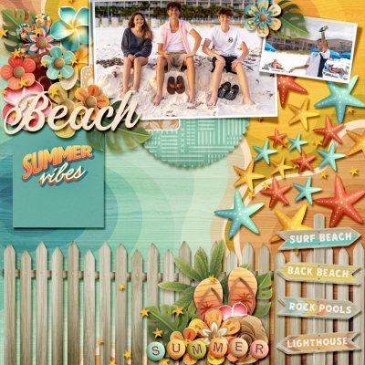 Summer Beach Vibes