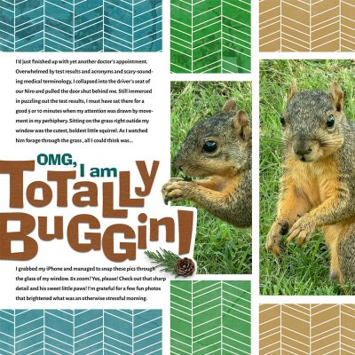 Totally Buggin!