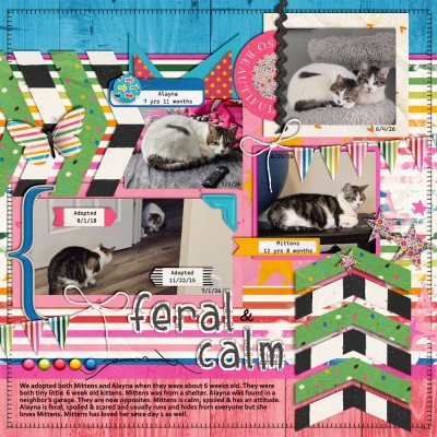 7 1 26 Feral and Calm