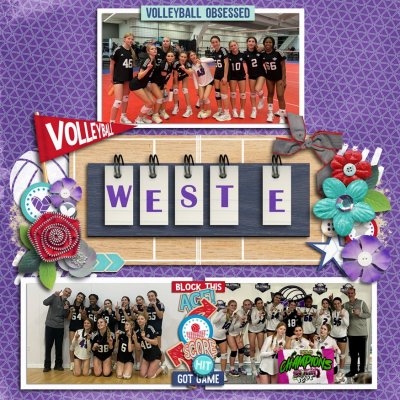 Travel VBall