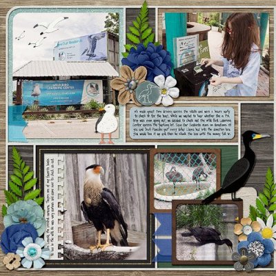 Save Our Seabirds Wild Bird Learning Center