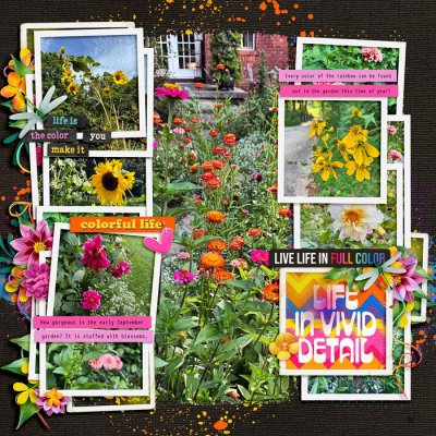 Colorful Life