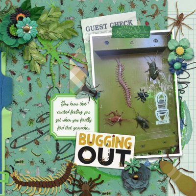 Jul-16-Bugging-Out-Geocache.jpg