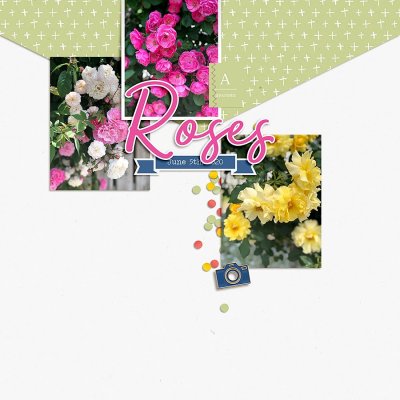 Roses - 2020
