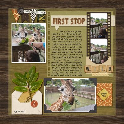 first stop: giraffes!