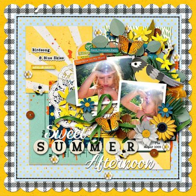 Sweet Summer Afternoon