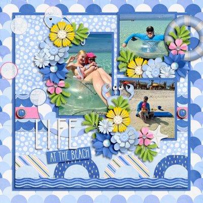 Life at the Beach