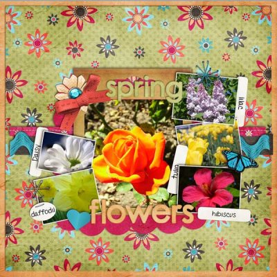 Spring Flowers
