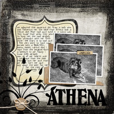 Athenas Story
