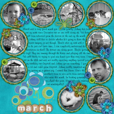 march_in_reveiw