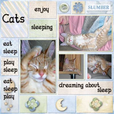 Cats Enjoy Sleeping