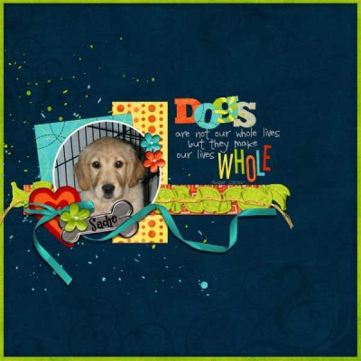 Dogs