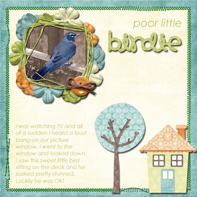 Poor Little Birdie