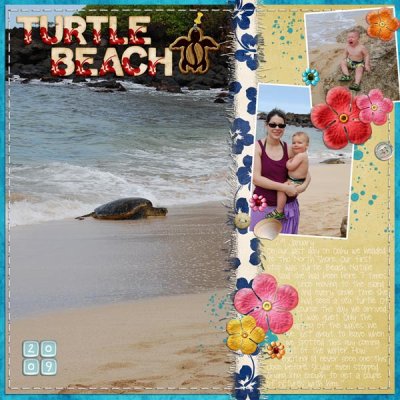 Turtle Beach