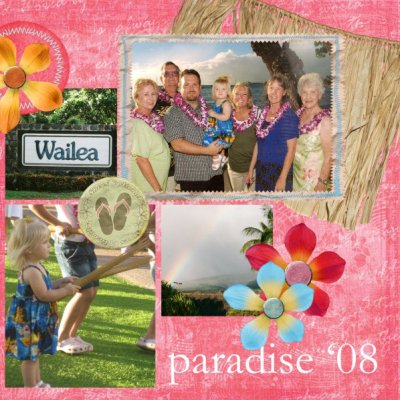 Hawaii 08-2