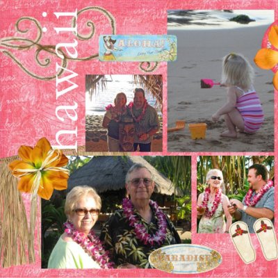 Hawaii 08-1