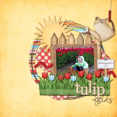 Tulip Fields