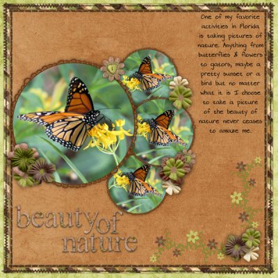 beauty of nature
