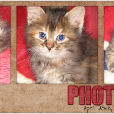Photo Series
