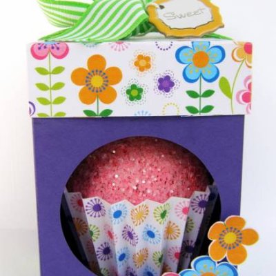 Cupcake Treat Box :)
