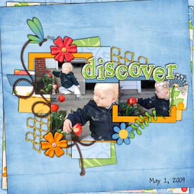 Discover