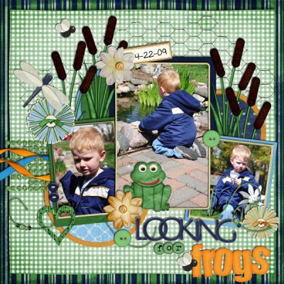 Looking for Frogs