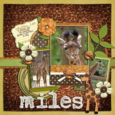 Miles the Baby Giraffe (5/4/06 Cookie Challenge)