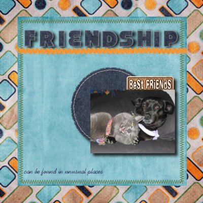 Friendship
