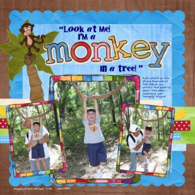 Monkey in a Tree