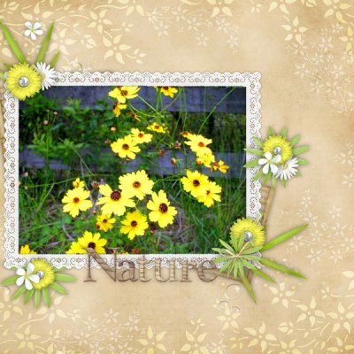 Nature