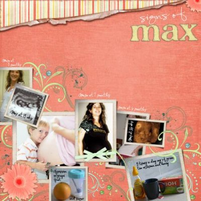 Signs of Max