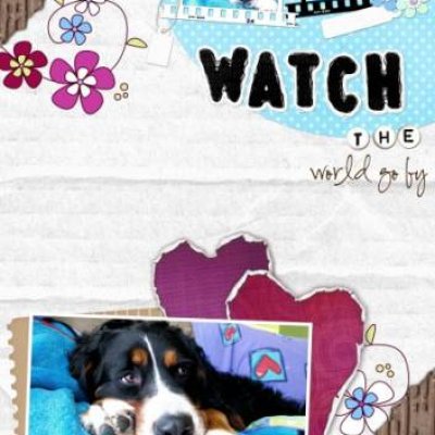Watch the world