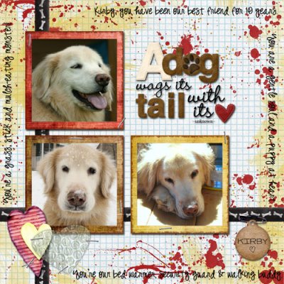 A Dog Wags