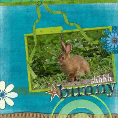 Shhhh A Bunny