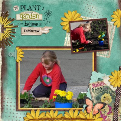 Plant a garden
