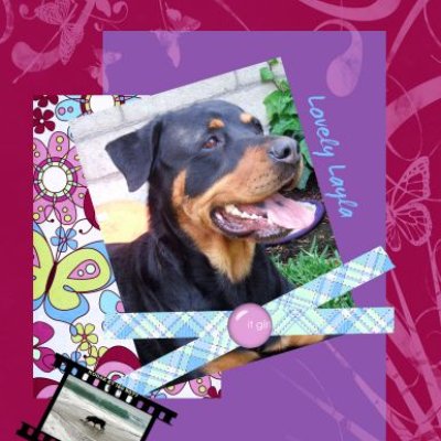 Lovely Layla