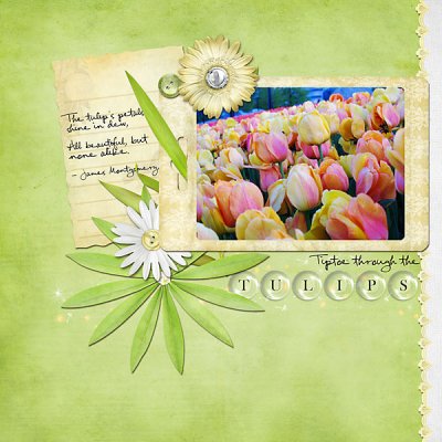Tulips