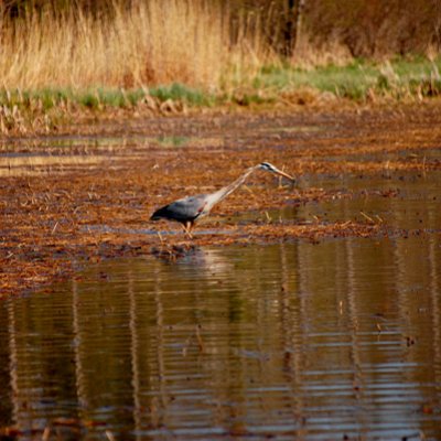 DSC_4303