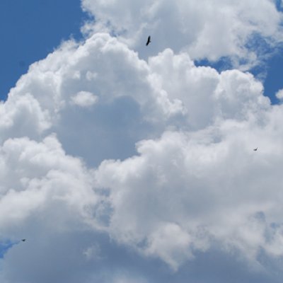 Concan Sky