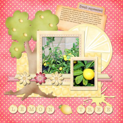 lemon tree