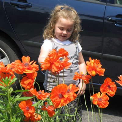 NatandPoppies