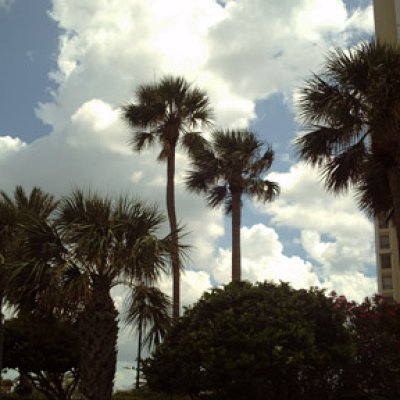 Summertime