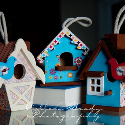 Wooden Bird Houses